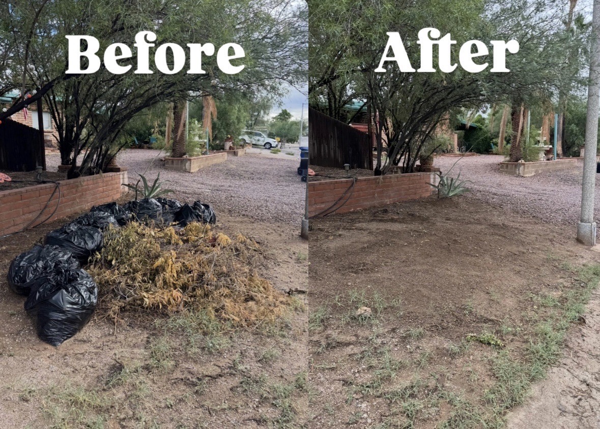 Before and after yard debris removal Phoenix